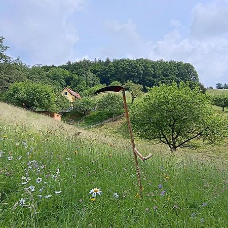Ferienhaus Grabenhansl Stubenberg Buitenkant foto