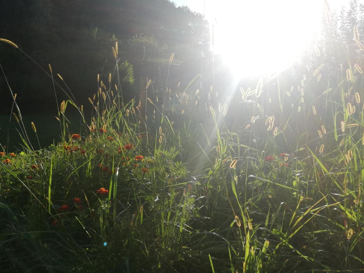 Ferienhaus Grabenhansl Stubenberg Buitenkant foto