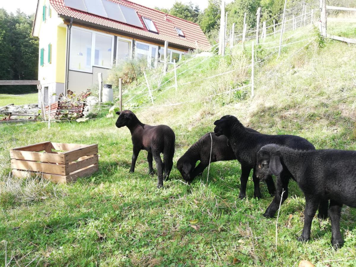 Ferienhaus Grabenhansl Stubenberg Buitenkant foto