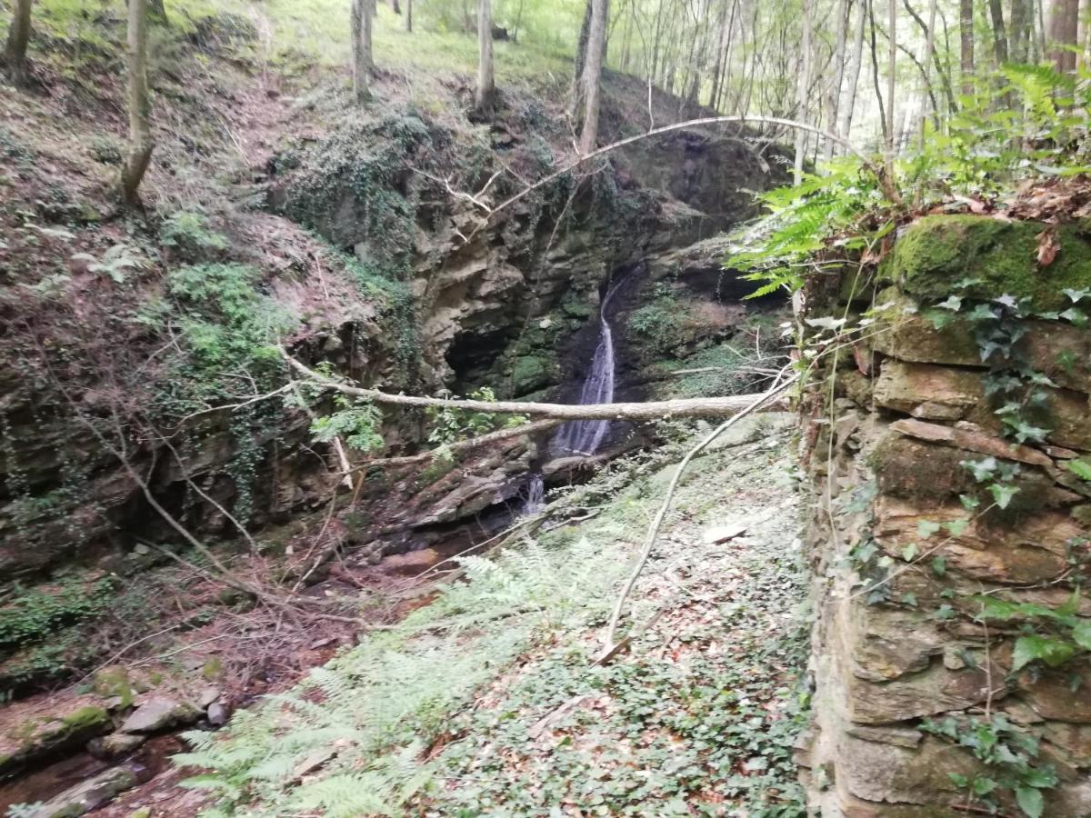 Ferienhaus Grabenhansl Stubenberg Buitenkant foto