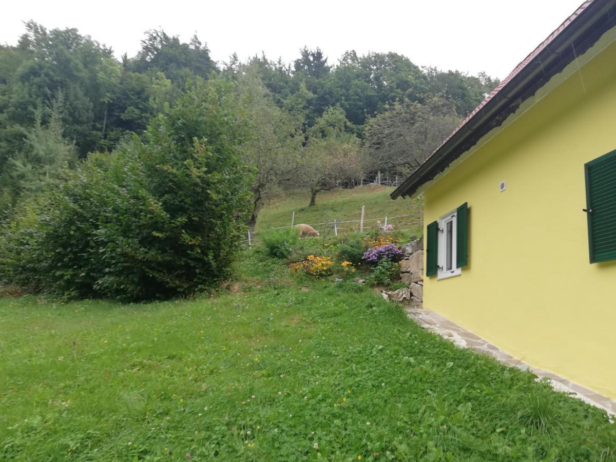 Ferienhaus Grabenhansl Stubenberg Buitenkant foto