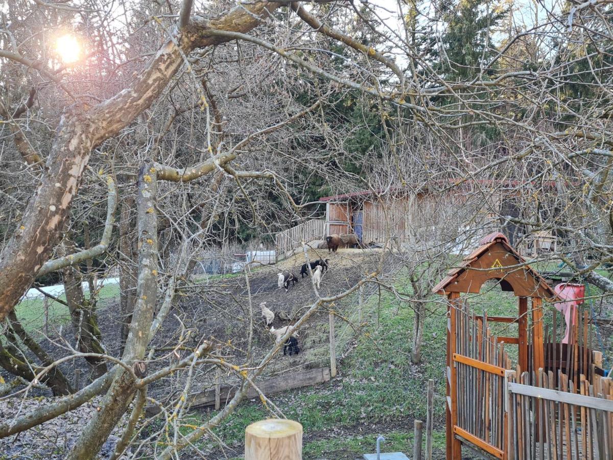 Ferienhaus Grabenhansl Stubenberg Buitenkant foto