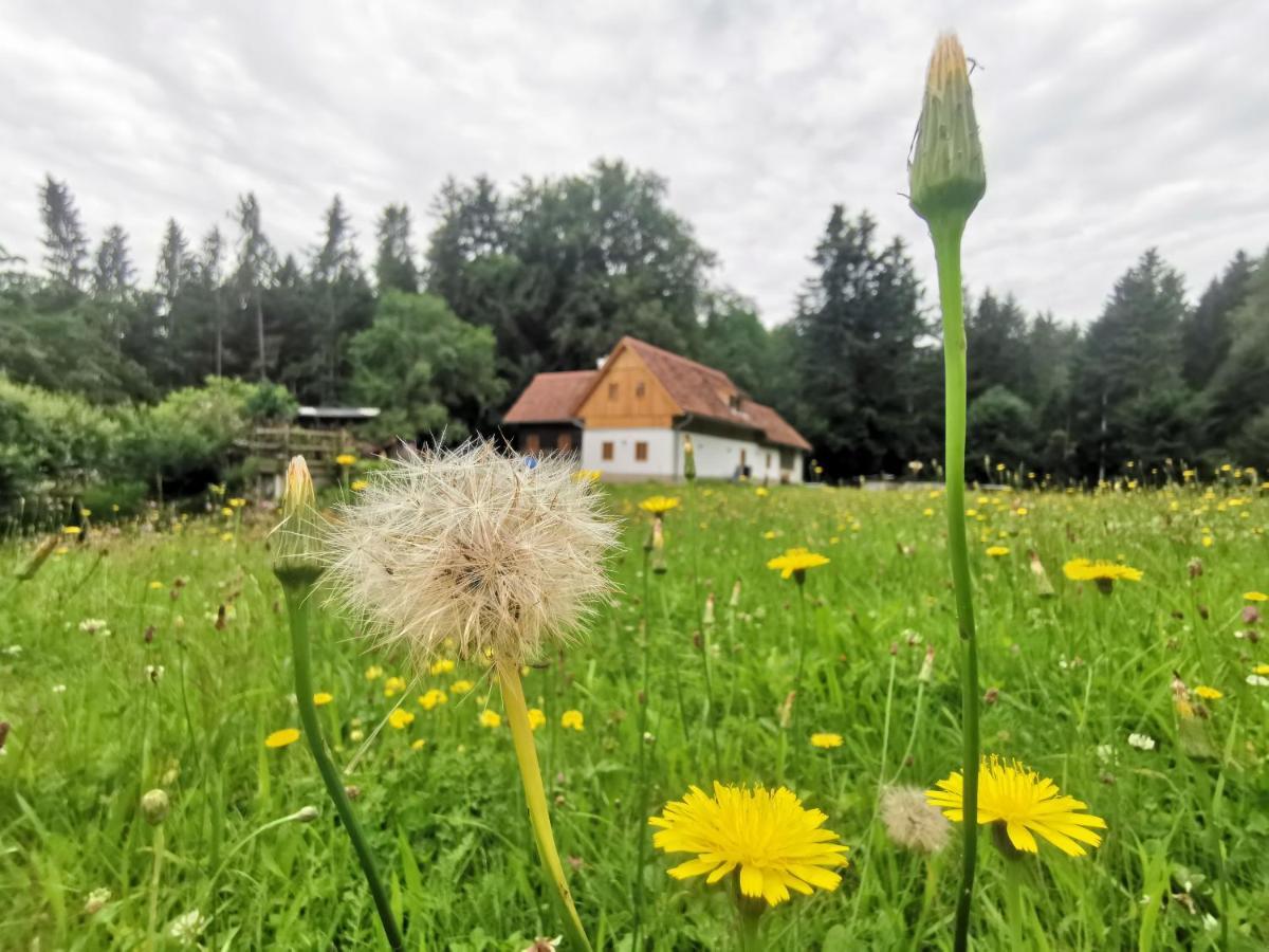 Ferienhaus Grabenhansl Stubenberg Buitenkant foto