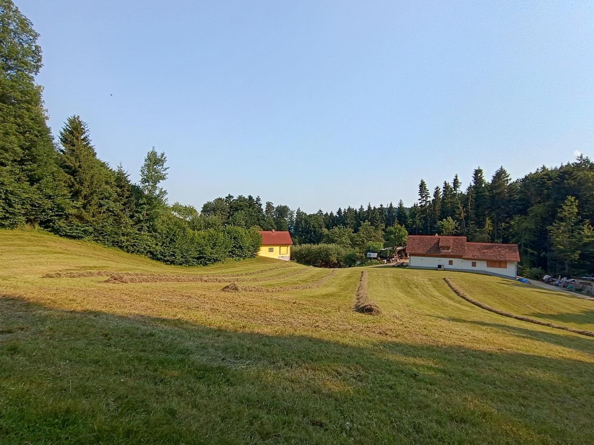 Ferienhaus Grabenhansl Stubenberg Buitenkant foto