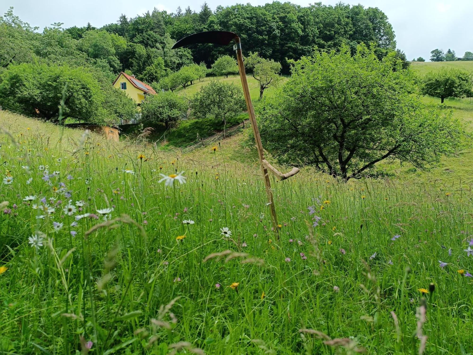 Ferienhaus Grabenhansl Stubenberg Buitenkant foto